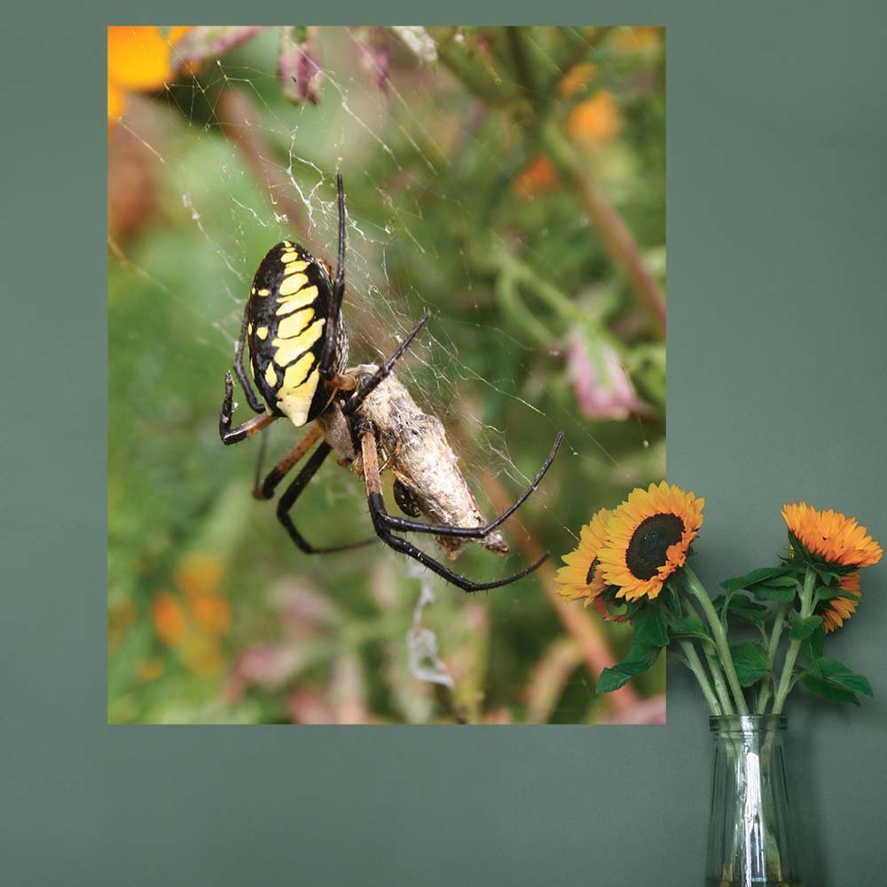 38.5x48 inch Feeding Time Poster Displayed on Wall