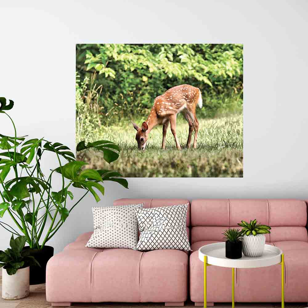 38.5x48 inch Grazing Fawn Decal Installed in Living Room