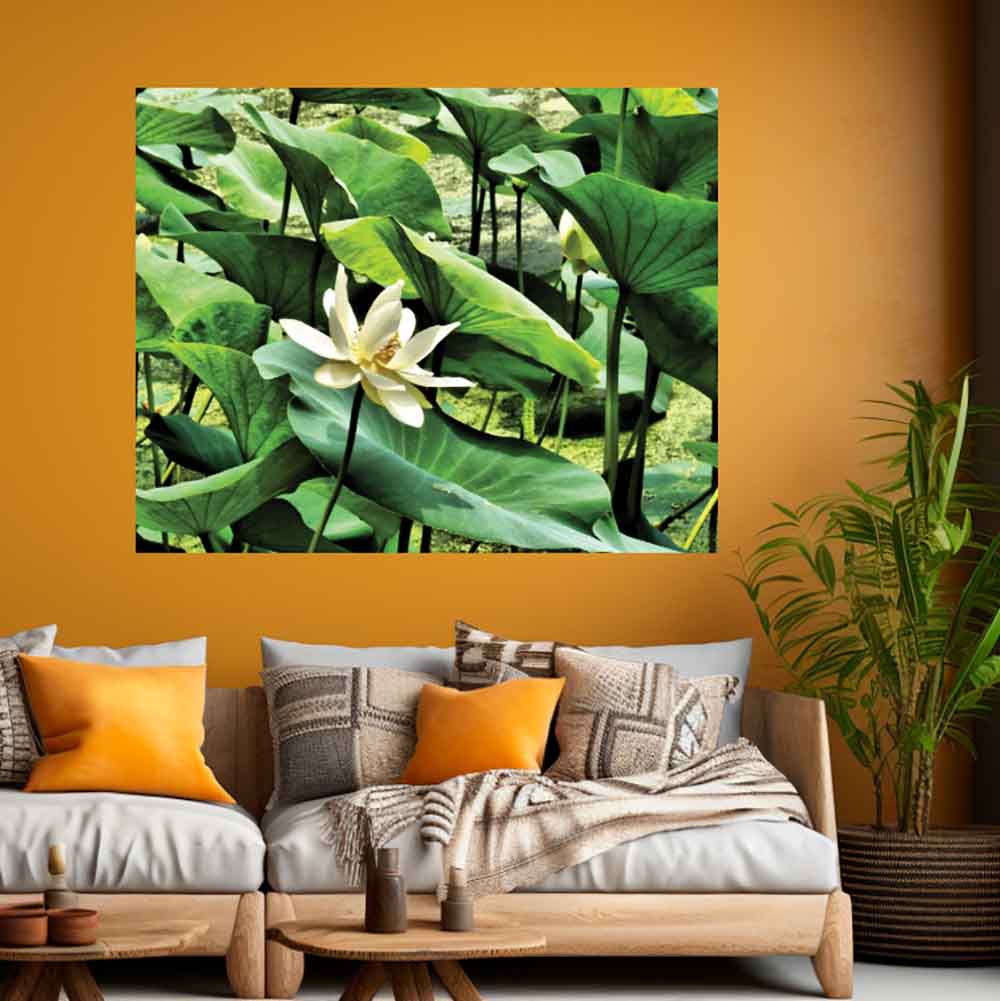 38.5x48 inch Pond Flower Decal Installed Above Couch