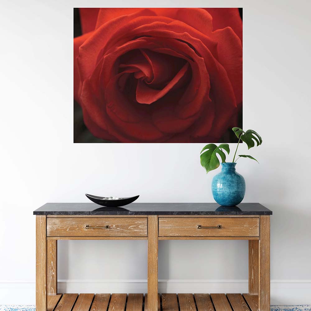 38.5x48 Rose Poster Displayed Above Console Table