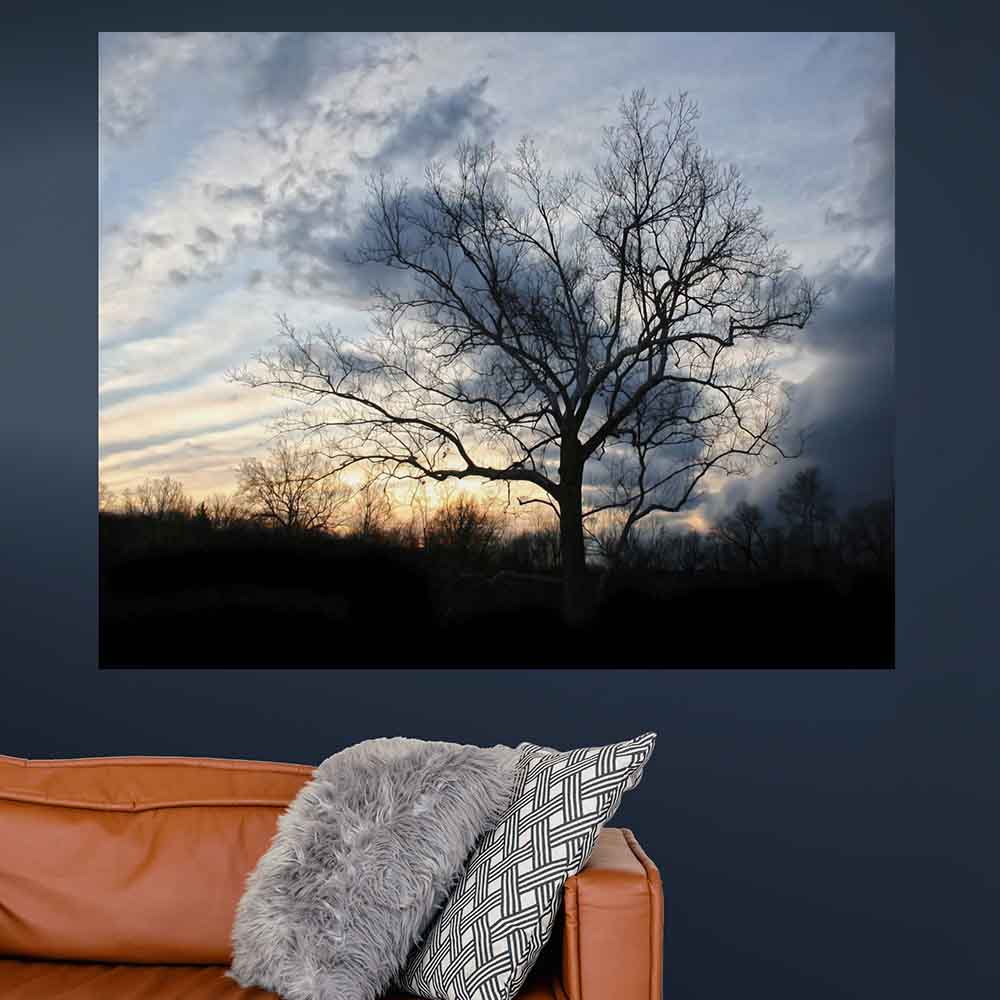 38.5x48 inch Sunset Tree Poster Displayed Above Sofa