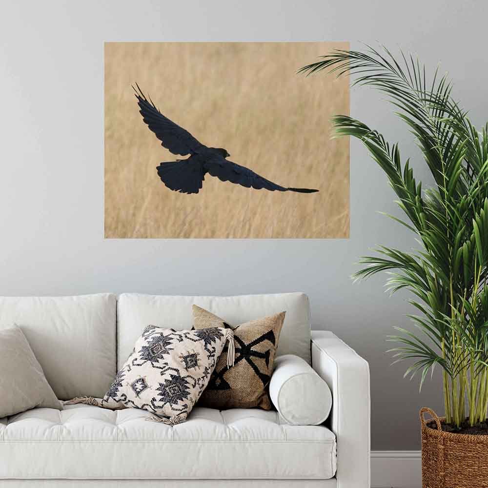 38.5x48 inch Crow Decal Installed in Living Room