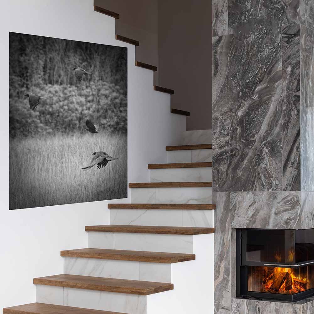 38.5x48 inch The Crows Decal Installed in Stairwell