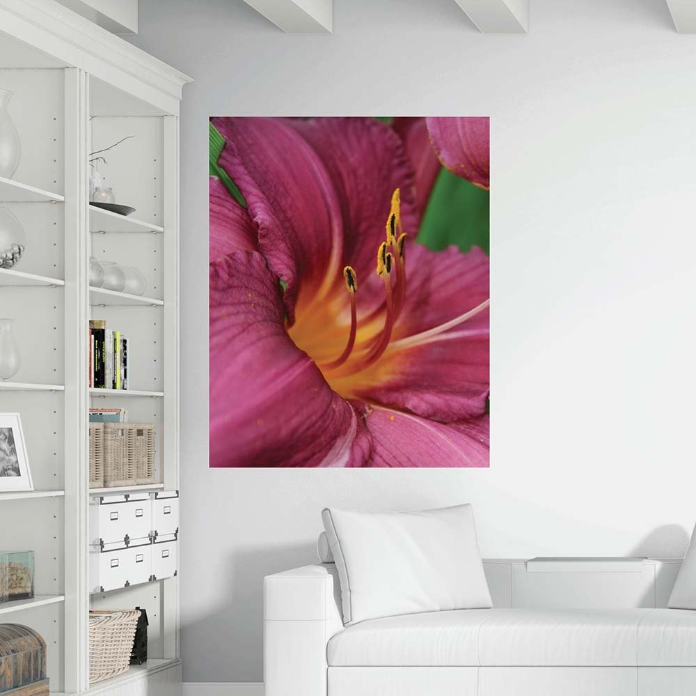 38.5x48 inch The Lilly Poster Displayed in Library