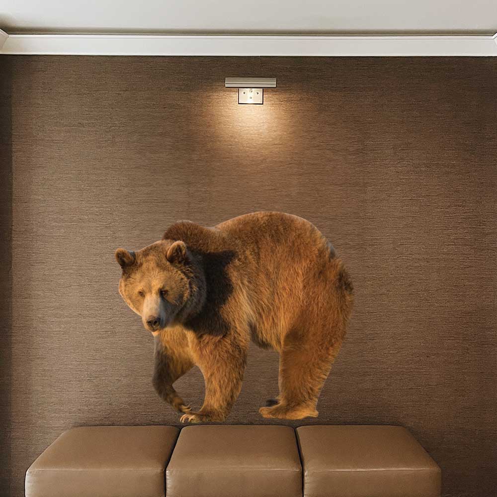 48 inch Big Grizzly Die-Cut Decal Installed in Waiting Room