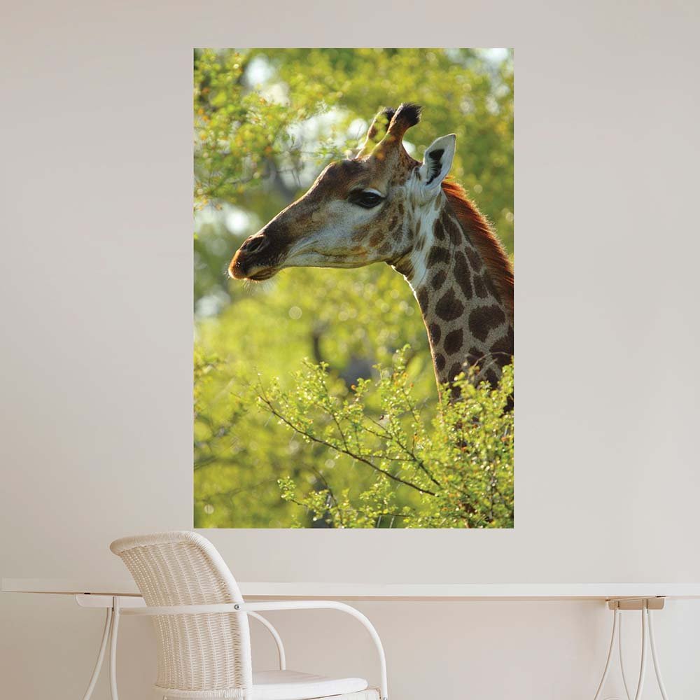 32x48 inch Giraffe Profile Decal Installed Above Table