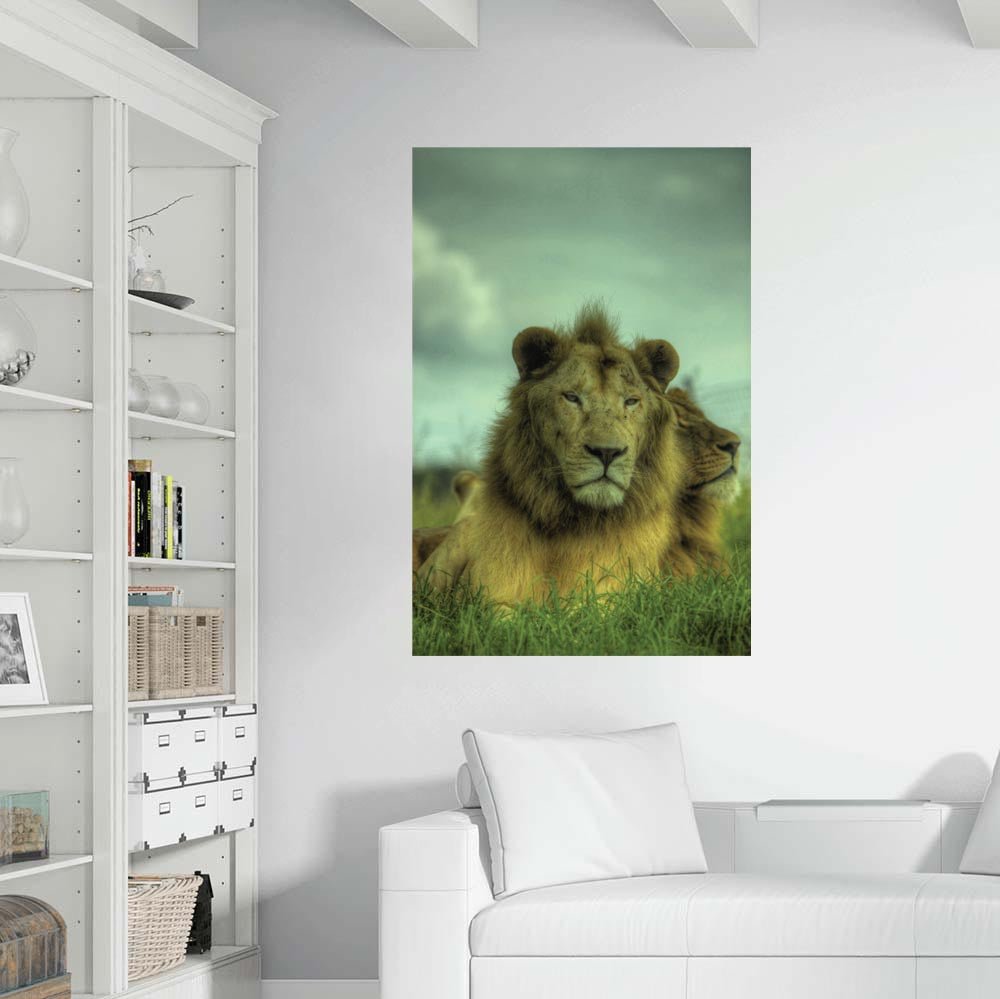 32x48 inch King of the Jungle Poster Displayed in Living Room