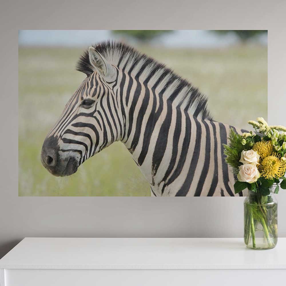 32x48 inch Zebra Profile Decal Installed Above Console Table