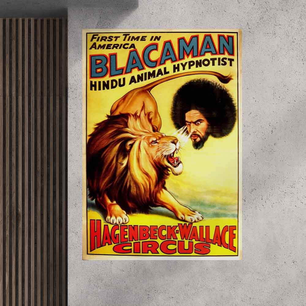 33x48 inch Blacaman Poster Displayed on Wall