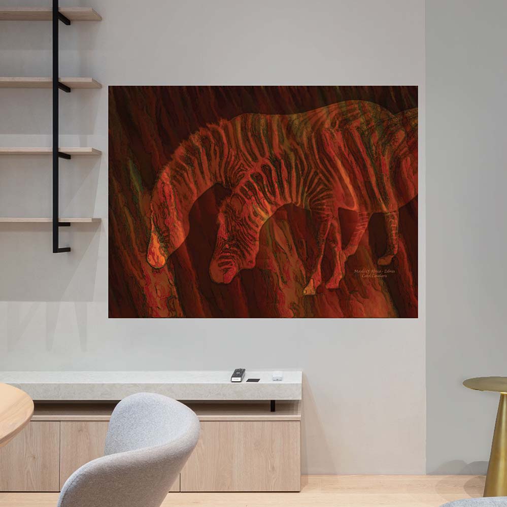 36x48 inch Moods Of Africa Zebras Poster Displayed in Office