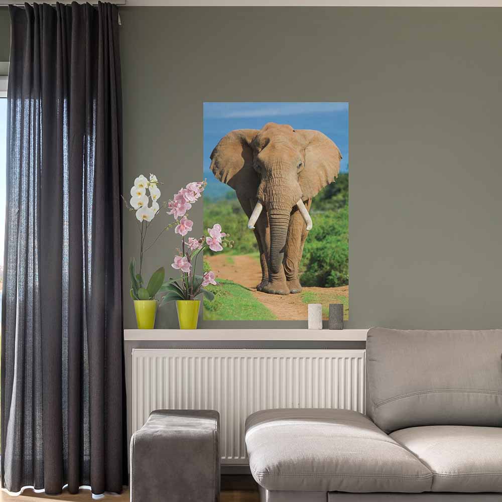48 inch Elephant Charging Poster Installed in Living Room