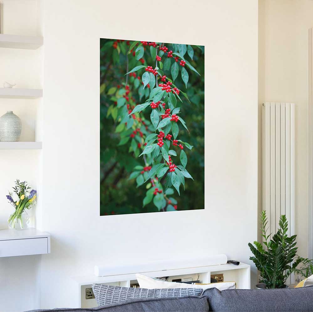 32x48 inch Berries Poster Displayed on Wall