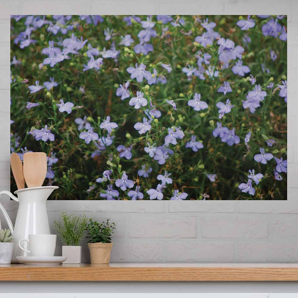 32x48 inch Purple Flowers Poster Displayed Above Counter