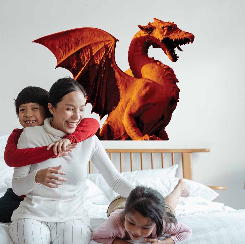 36x48 inch Dragon Wall Decal Installed in Kids Room