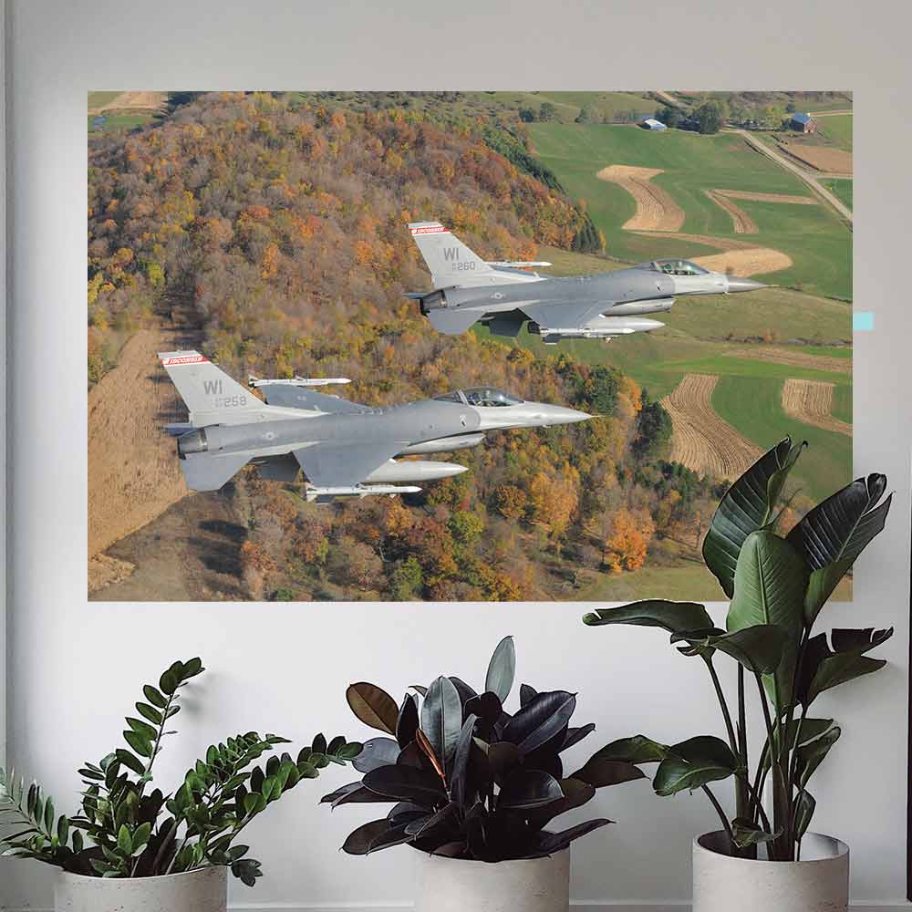 48 inch Dual F-16 Fighting Falcons Gloss Poster Displayed Near Plants