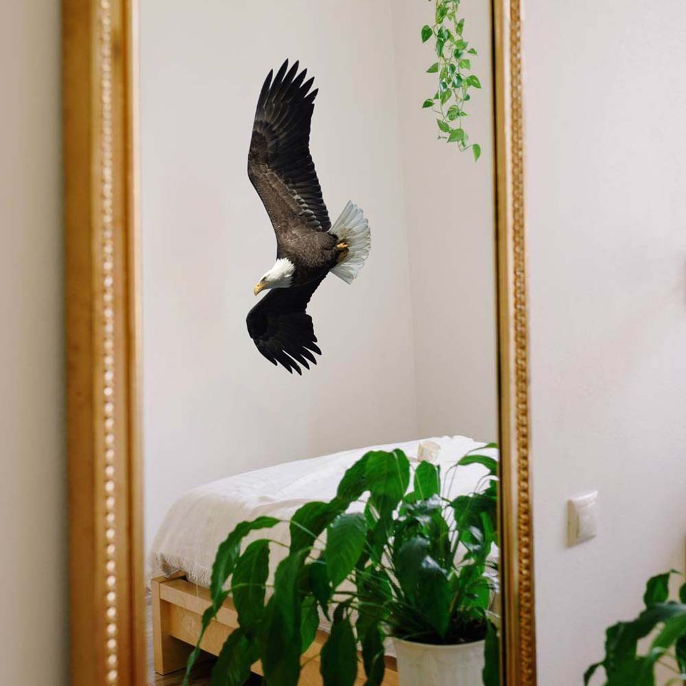 48 inch Soaring Eagle Die-Cut Decal Reflected in Mirror