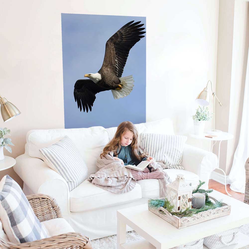 48 inch Soaring Eagle Poster Displayed in Sitting Area