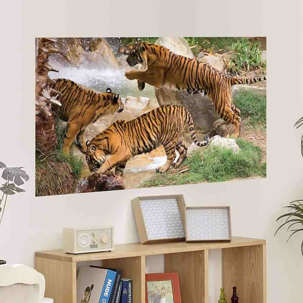 48 inch Tiger Gang Poster Displayed Above Bookshelf