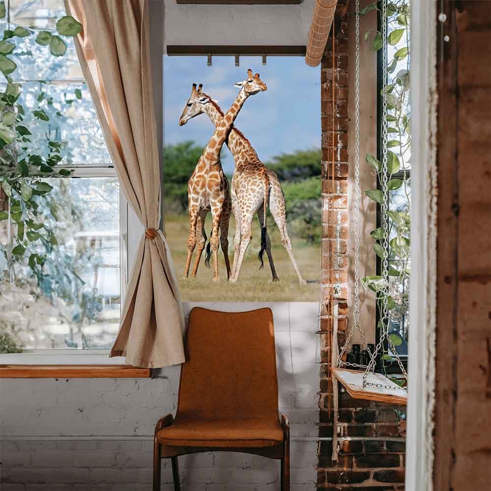 48 inch Crossing Giraffes Gloss Poster Installed Above Chair