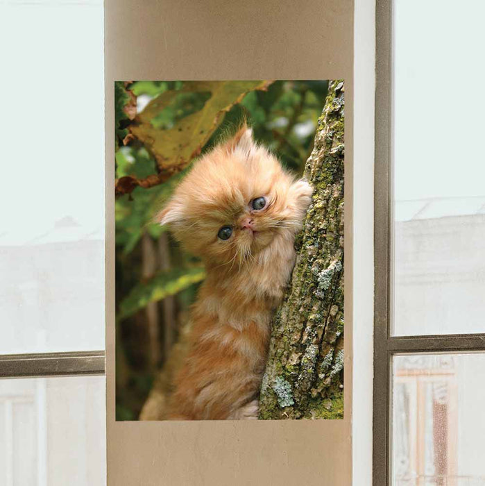 48 inch Baby Kitten in Tree Wall Decal Installed Between Windows