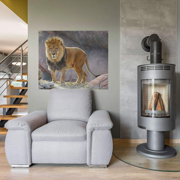 48 inch King of Jungle Wall Decal Installed Above Chair