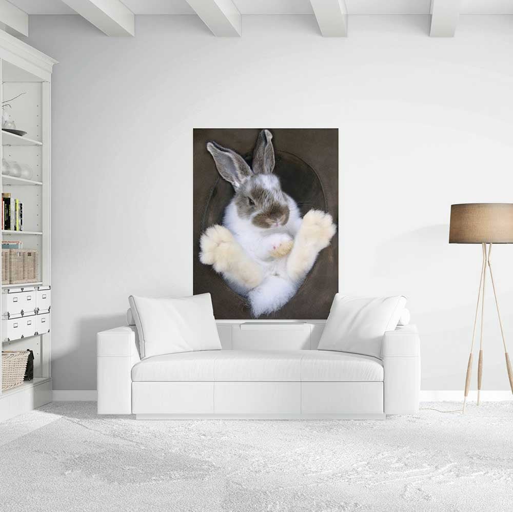 48 inch Bunny in Hat Wall Decal Installed Above Sofa