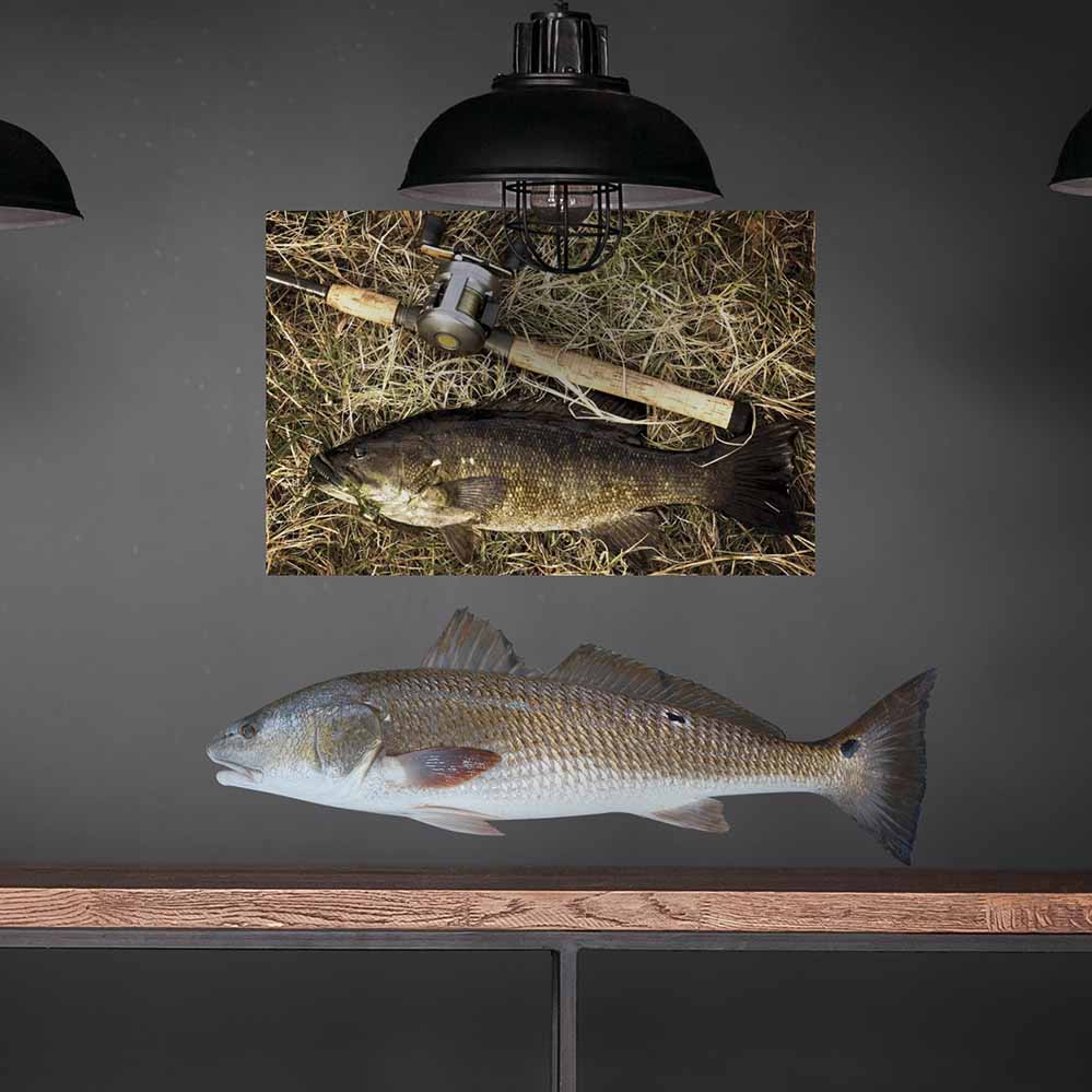 17x48 inch Red Drum Fish Decal Installed Above Shelf