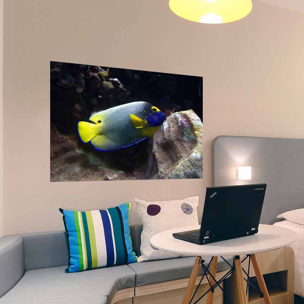 32x48 inch Reef Angel Fish Decal Installed in Bedroom