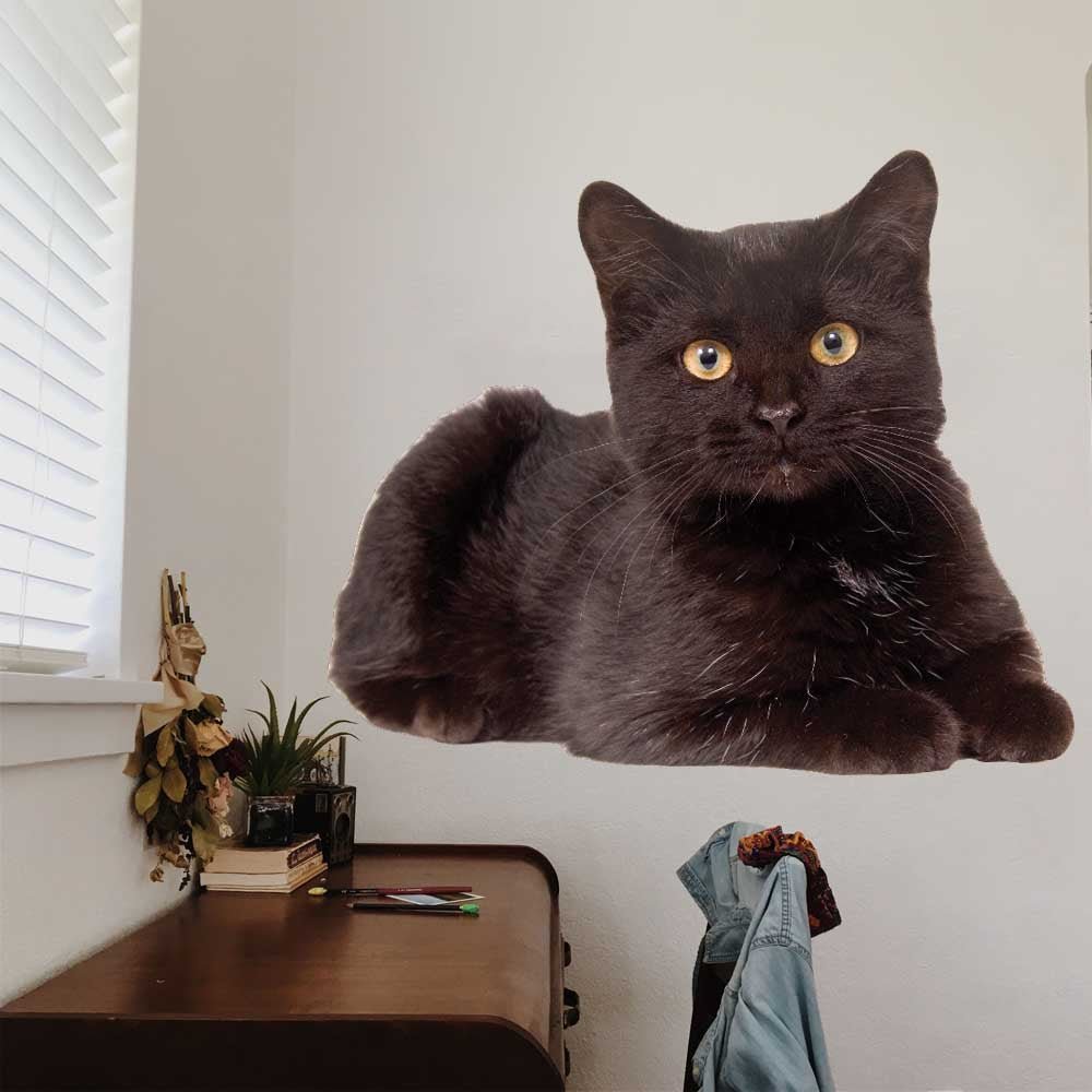 48 inch Black Cat Die-Cut Decal Installed by Desk