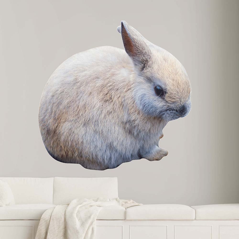 48 inch Baby Bunny Die-Cut Decal Installed Above Couch