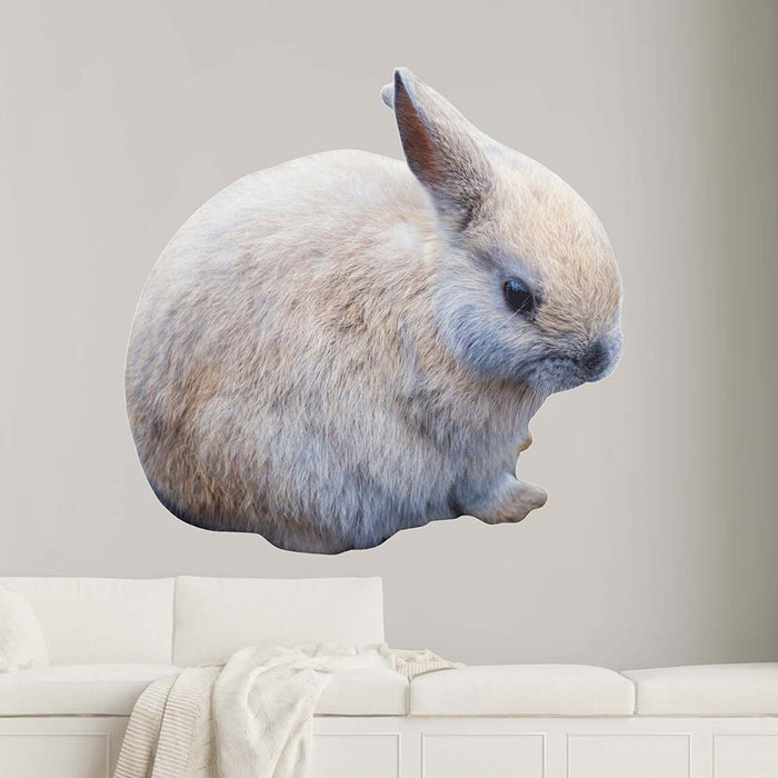 48 inch Baby Bunny Die-Cut Decal Installed Above Couch