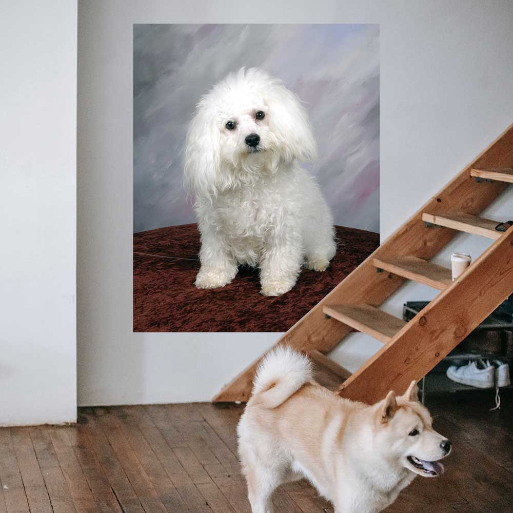 48 inch Poodle Portrait Gloss Poster Installed Near Stairs