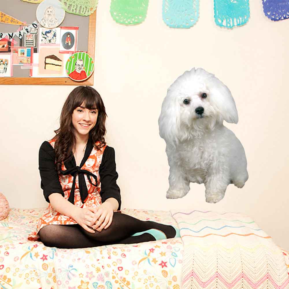 48 inch Sitting Poodle Portrait Wall Decal Installed in Dorm Room
