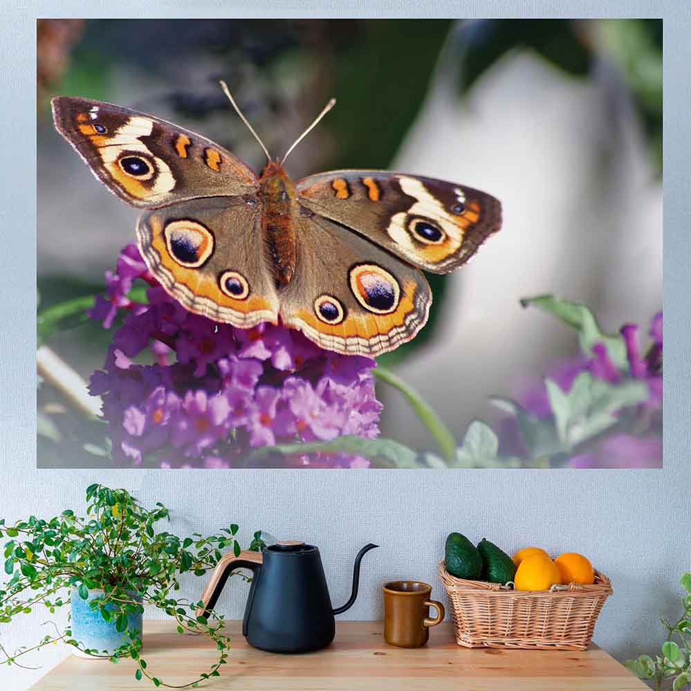38x48 inch Butterfly on Purple Flower Decal Installed Above Table