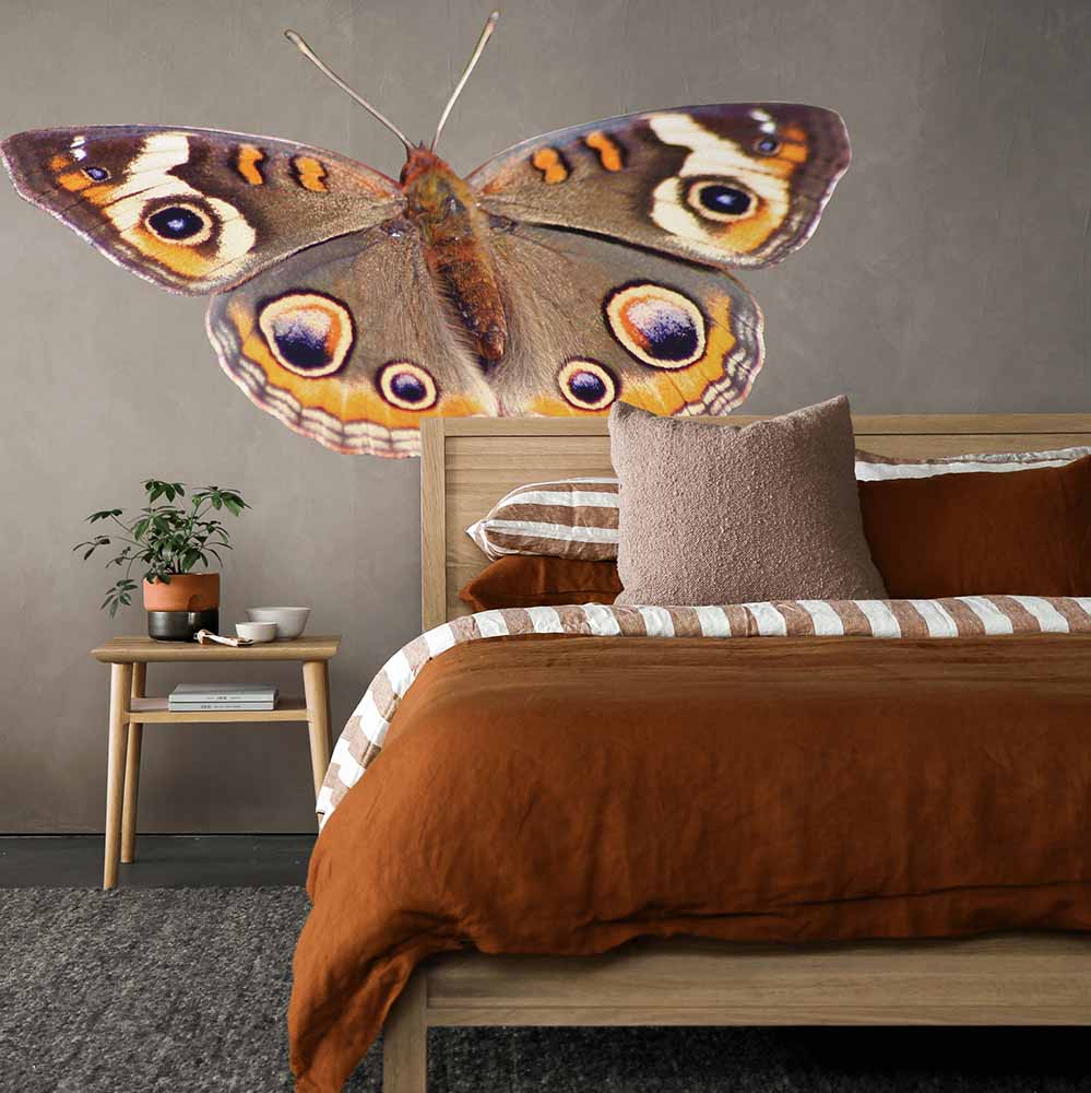 29x48 inch Spotted Butterfly Decal Installed in Bedroom