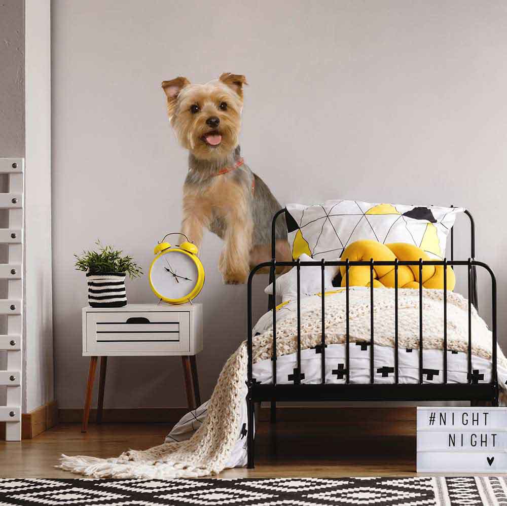 48 inch Die-Cut Terrier Dog Decal Installed in Kids Room