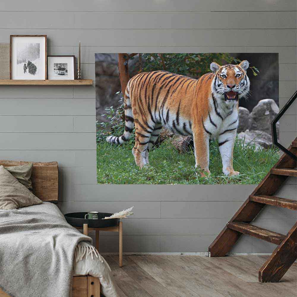 48 inch Tiger Portrait Decal Installed in Bedroom