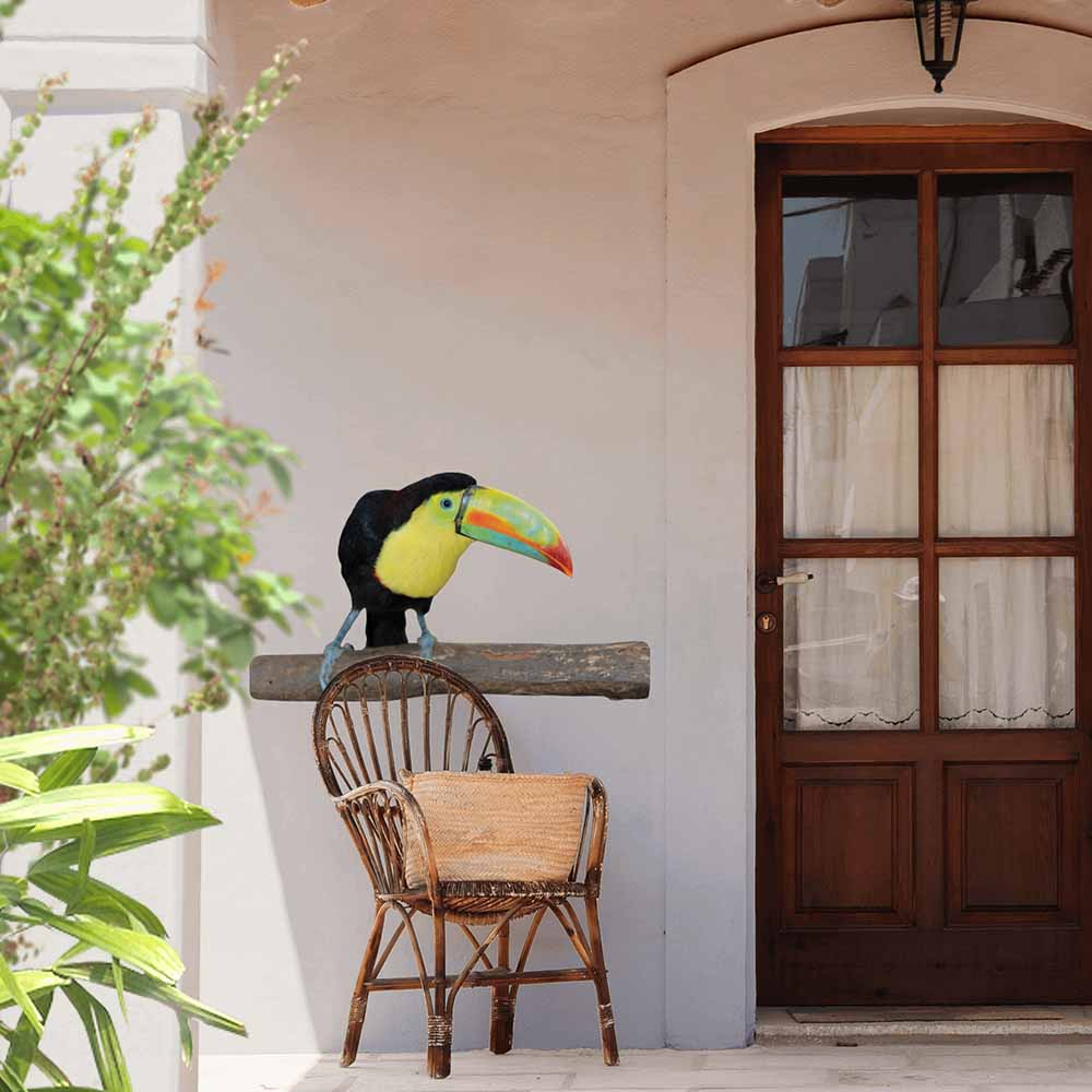 48 inch Toucan Die-Cut Decal Installed by Front Door