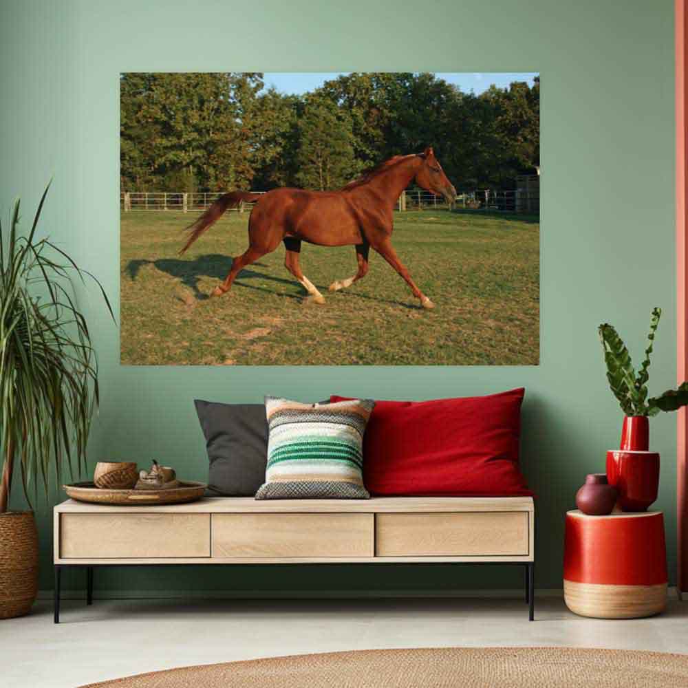 48 inch Trotting Horse in Field Gloss Poster Displayed Above Table