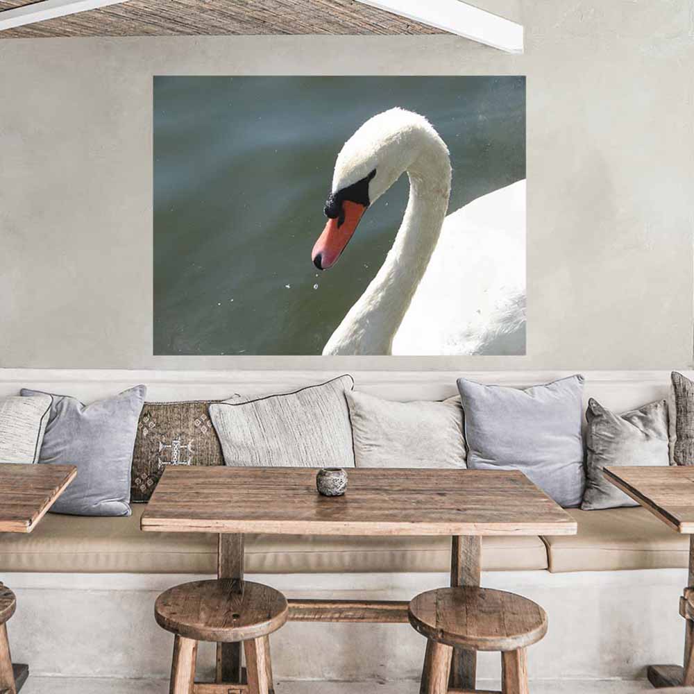 48 inch Majestic Swan Poster Displayed in Restaurant