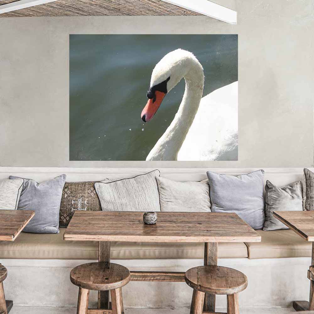48 inch Majestic Swan Decal Installed in Restaurant