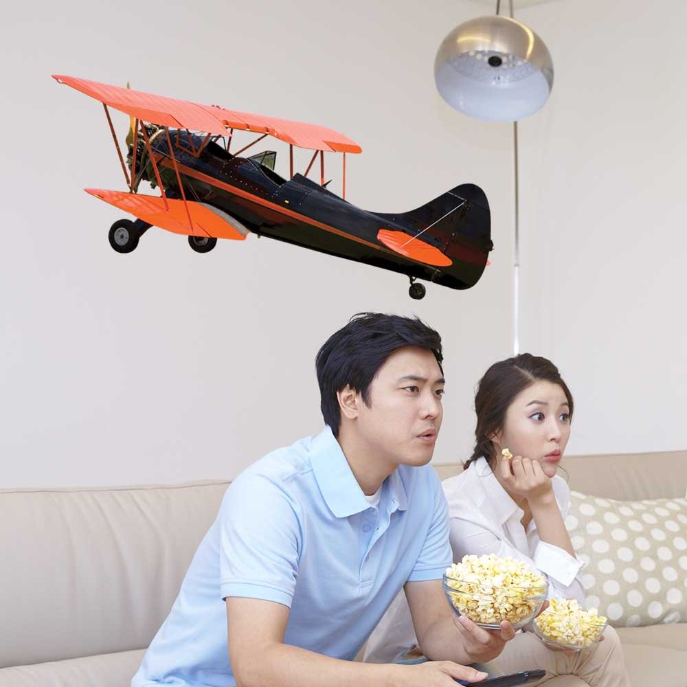 48 inch Vintage Biplane Wall Decal Installed in Family Room