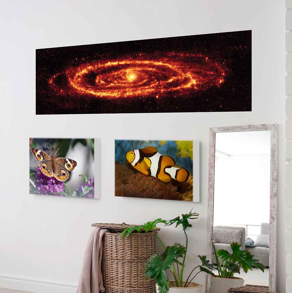 14x48 inch Andromeda Galaxy Panoramic Decal Installed on Wall