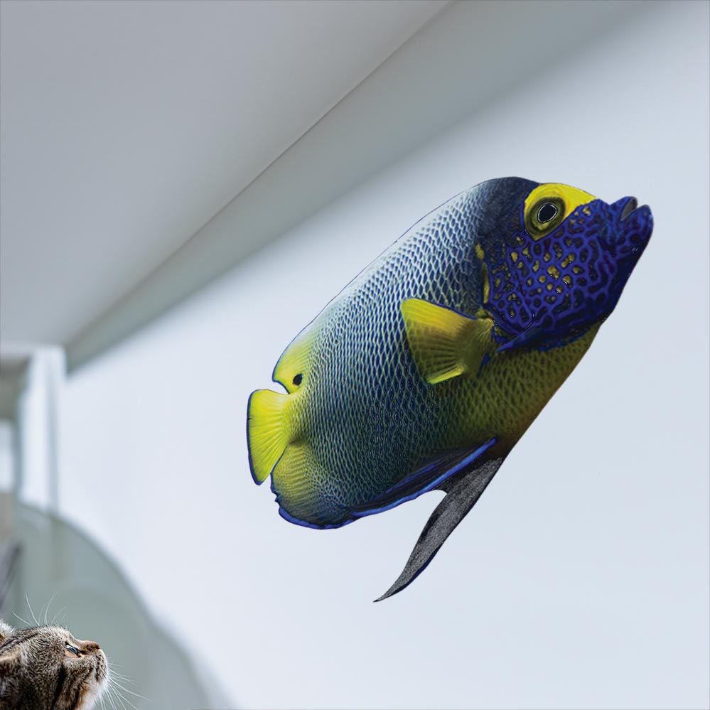 30x48 inch Angel Fish Decal Installed on Wall