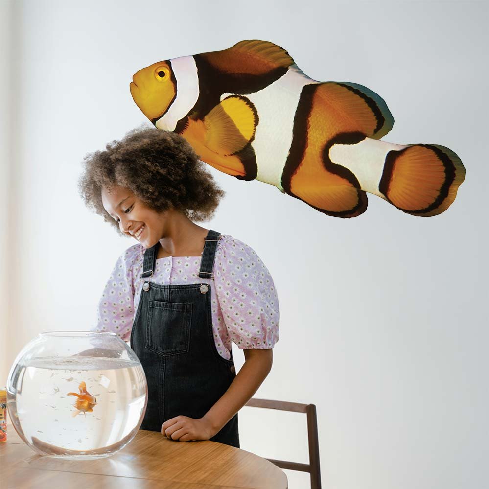 24x48 inch Clown Fish Decal Installed on Wall