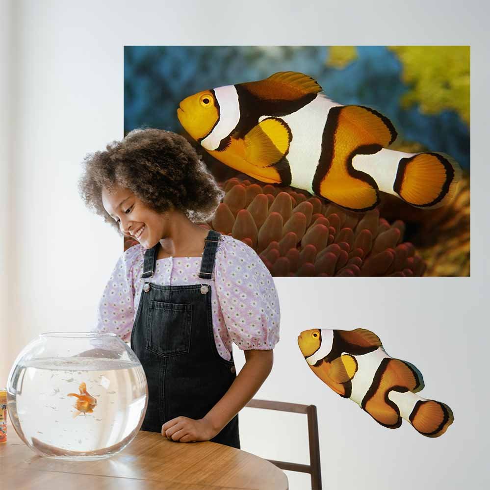 32x48 inch Clownfish Poster Installed on Wall