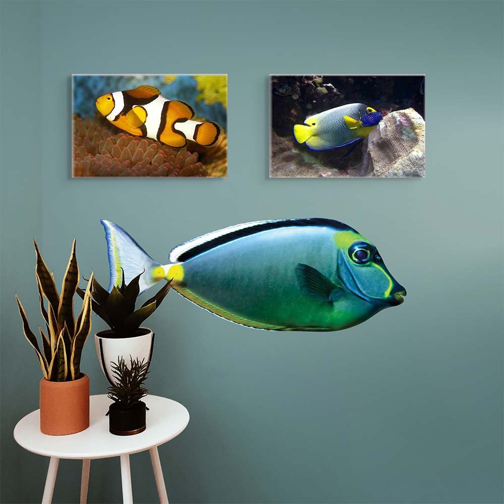 18x48 inch Naso Tang Decal Installed Above Stool w/Plants