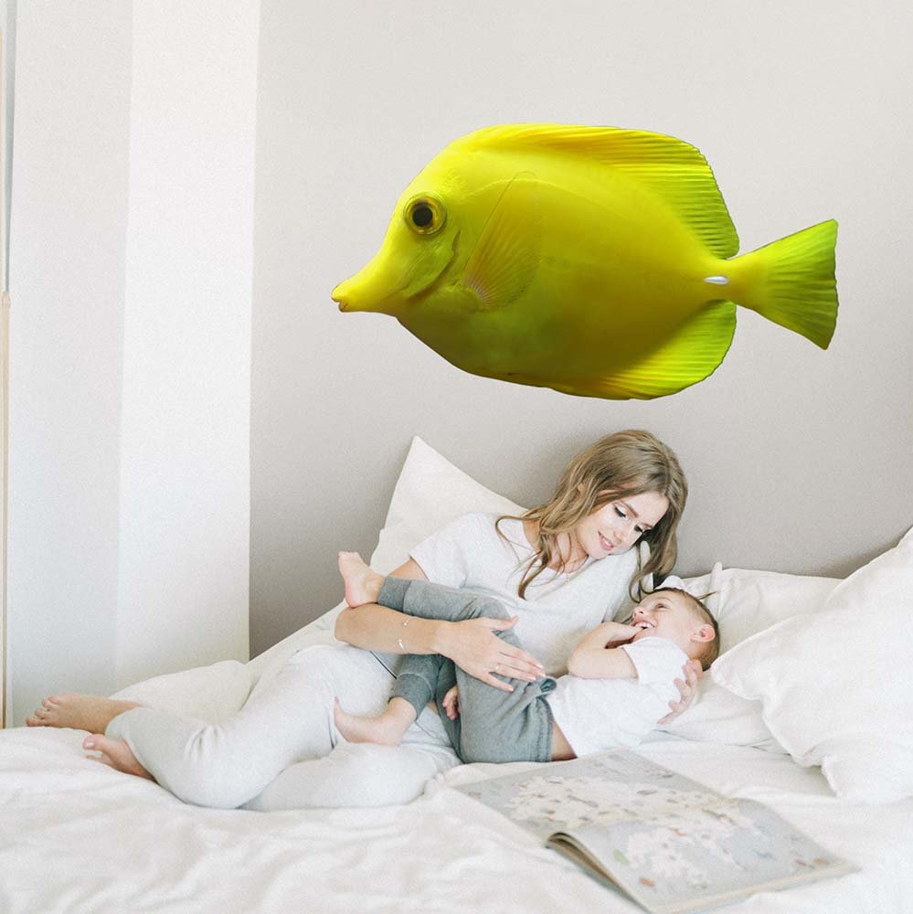 26x48 inch Yellow Tang Decal Installed in Kids Room