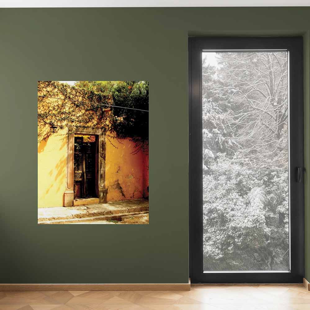 48 inch poster of Mexican architecture of doorway with ivy displayed on a green wall next to door