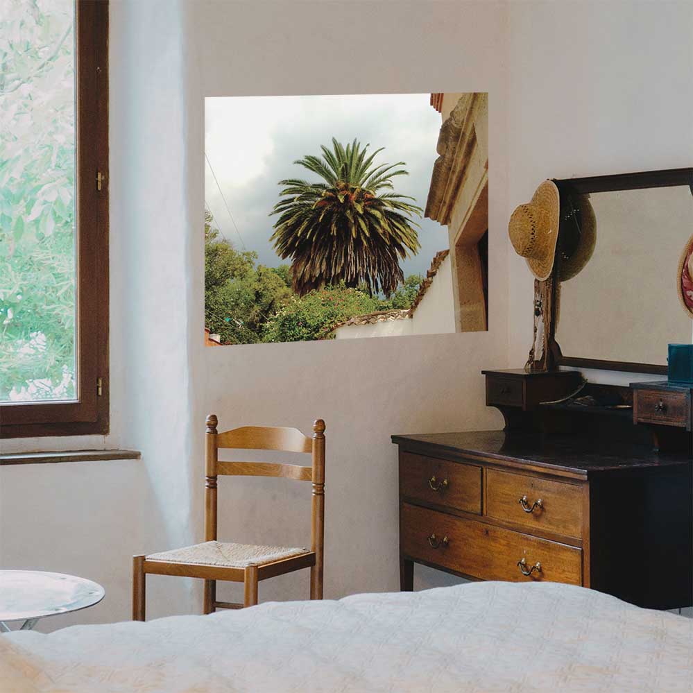 39.5x48 inch Mexico Palm Tree Poster Displayed in Bedroom